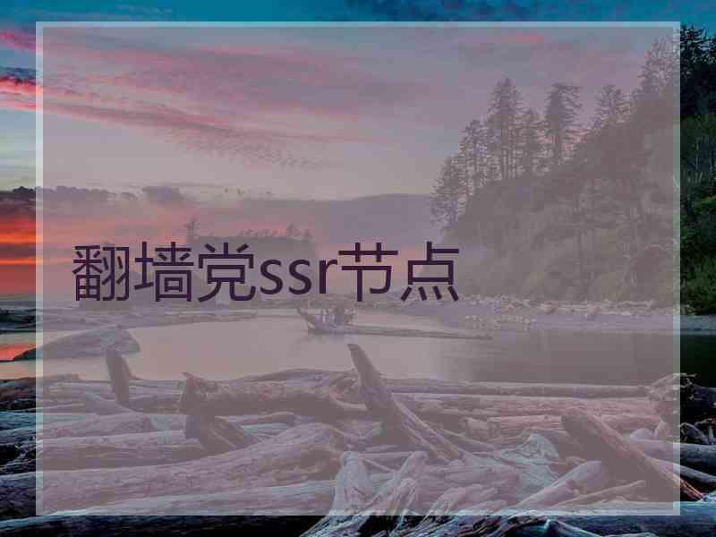 翻墙党ssr节点