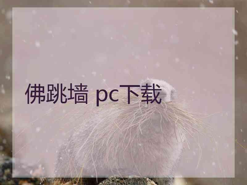 佛跳墙 pc下载