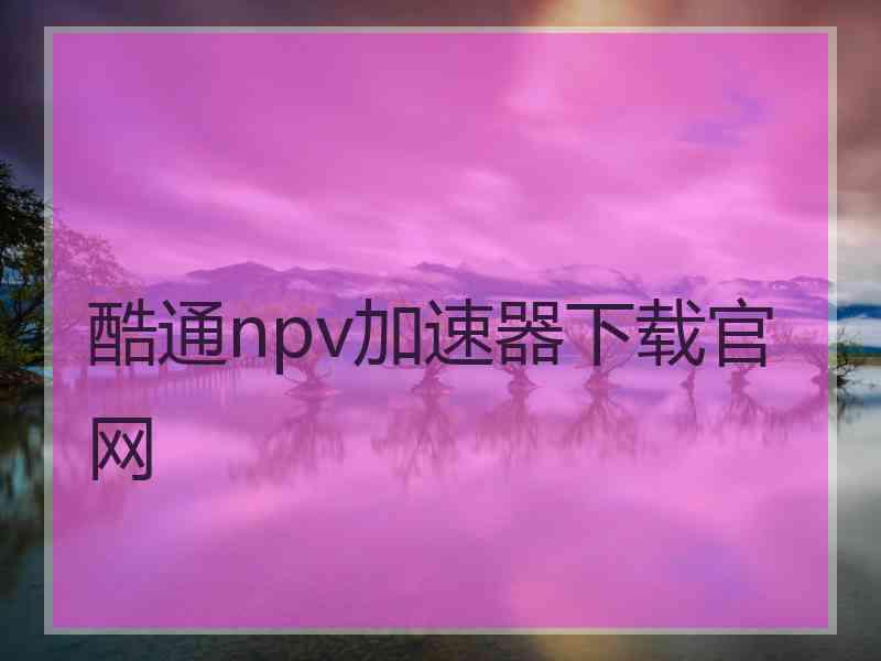 酷通npv加速器下载官网