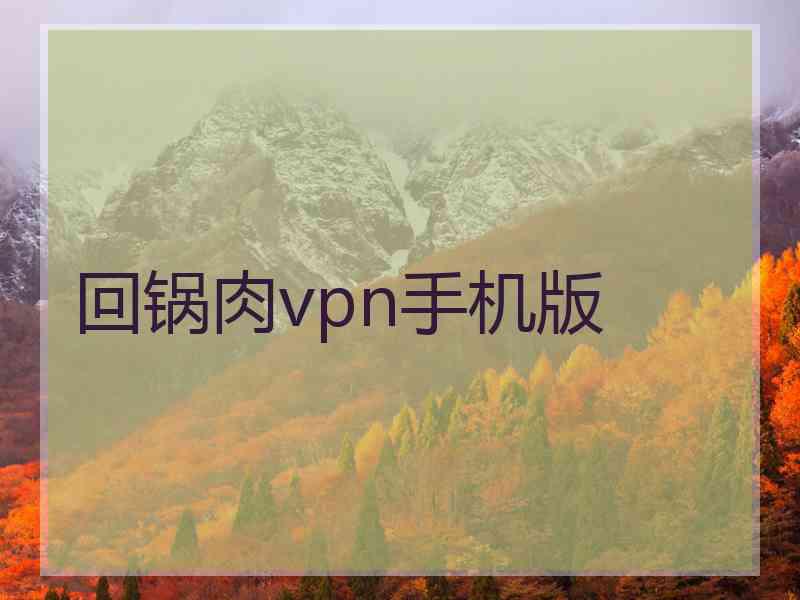 回锅肉vpn手机版