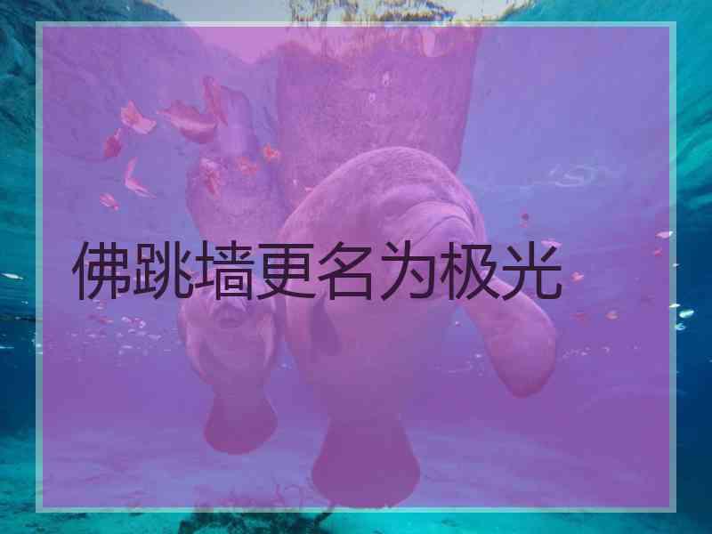 佛跳墙更名为极光