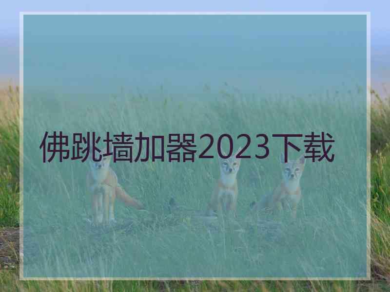 佛跳墙加器2023下载