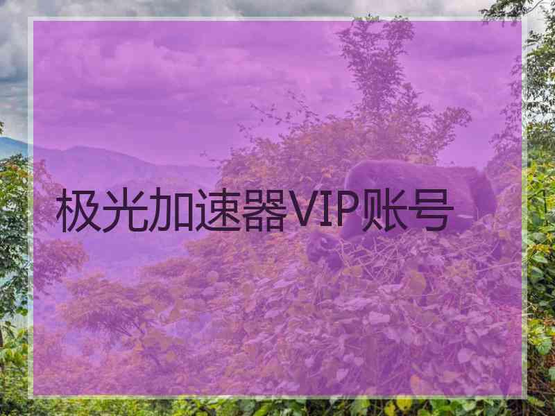 极光加速器VIP账号