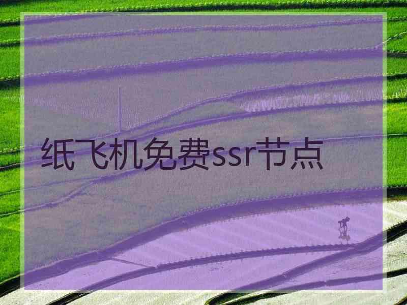 纸飞机免费ssr节点