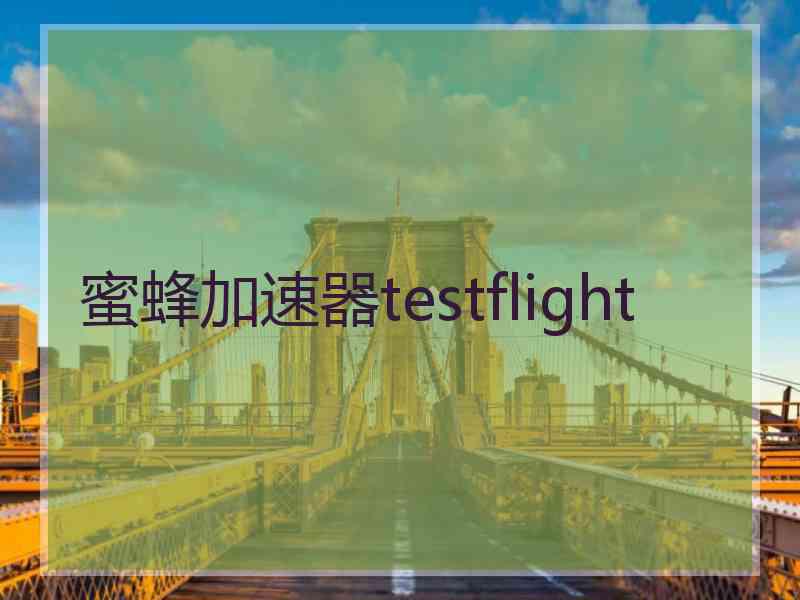 蜜蜂加速器testflight