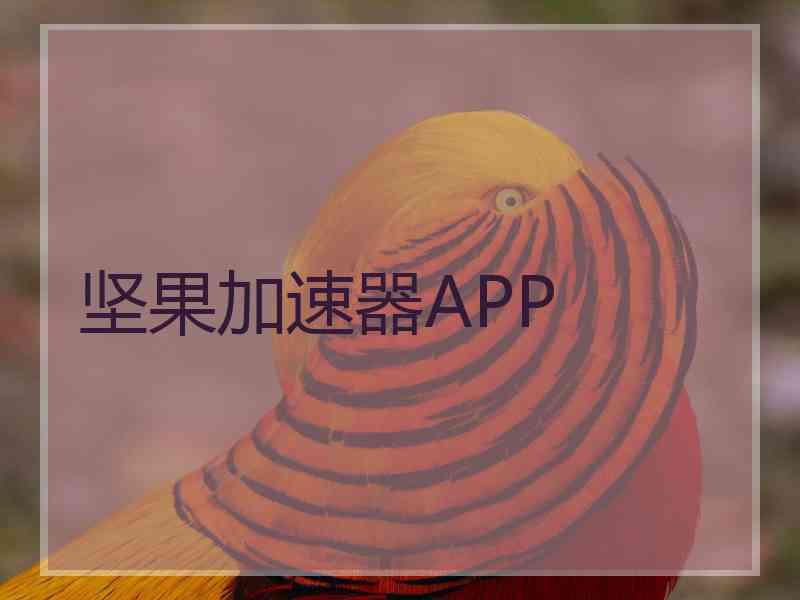 坚果加速器APP