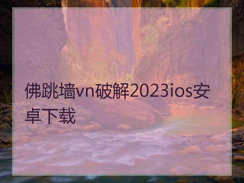 佛跳墙vn破解2023ios安卓下载