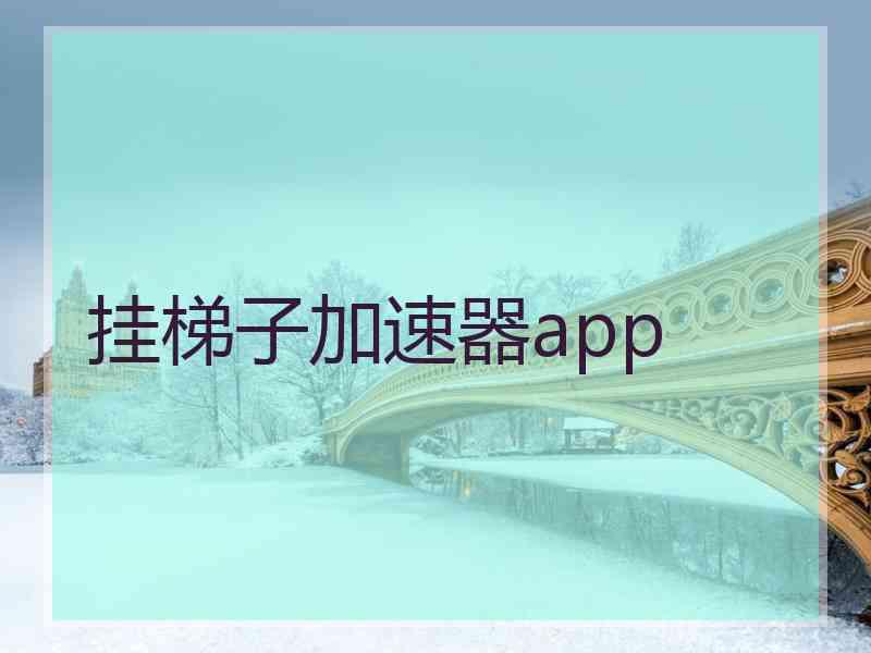 挂梯子加速器app