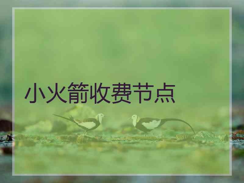 小火箭收费节点