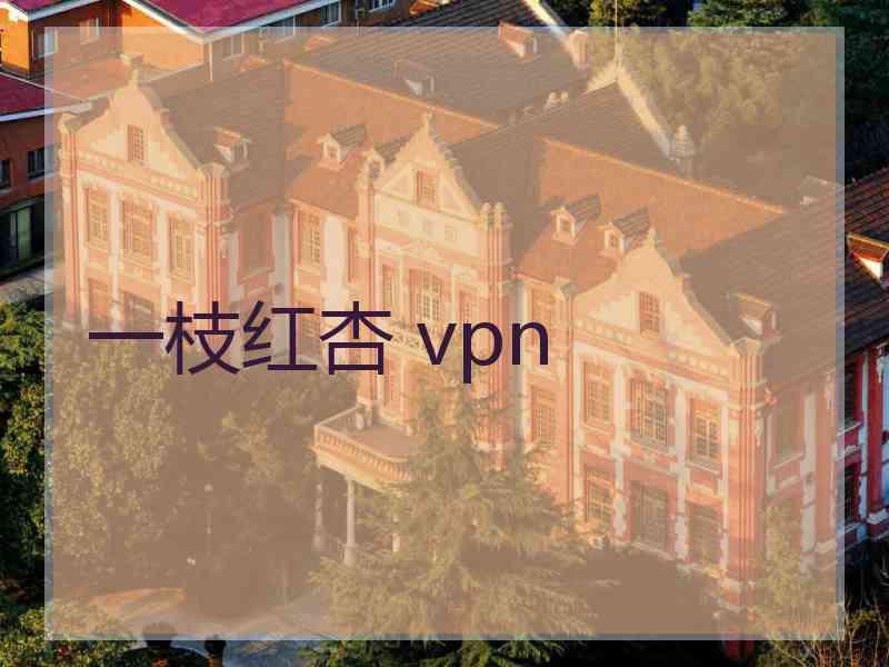 一枝红杏 vpn