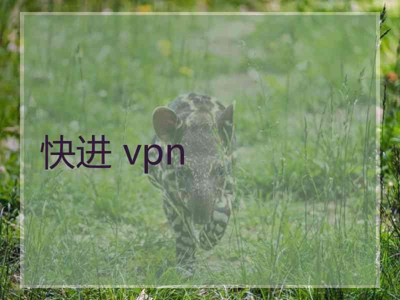 快进 vpn