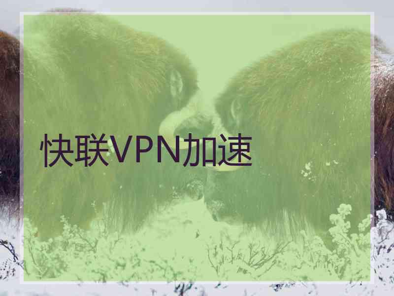 快联VPN加速