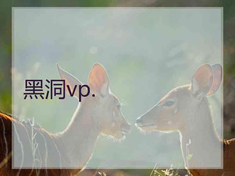 黑洞vp.