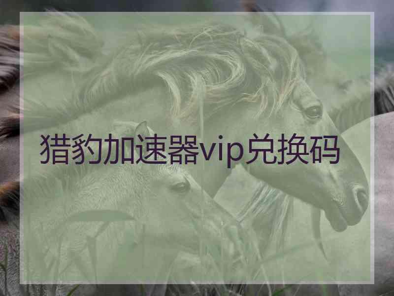 猎豹加速器vip兑换码