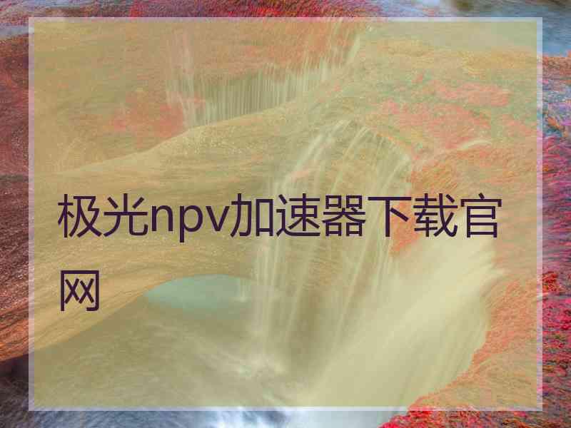 极光npv加速器下载官网