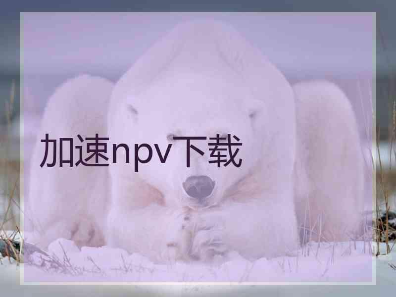 加速npv下载