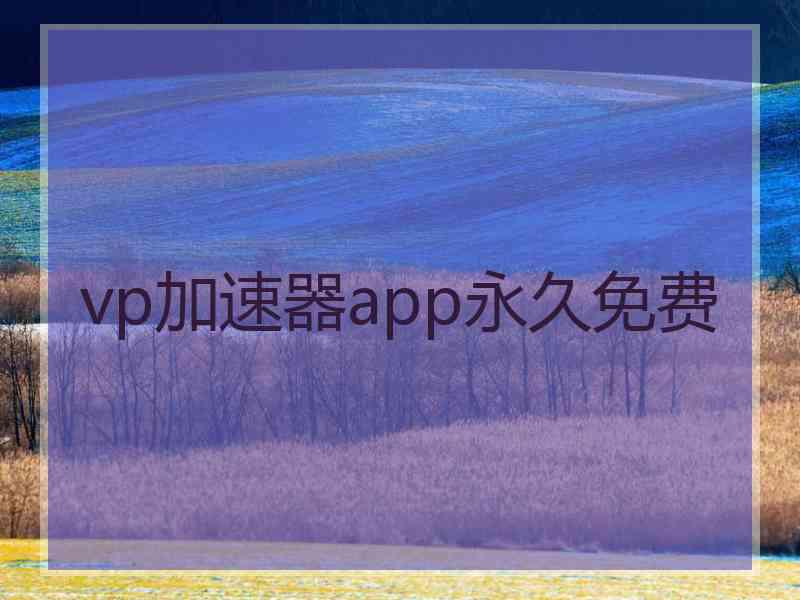 vp加速器app永久免费