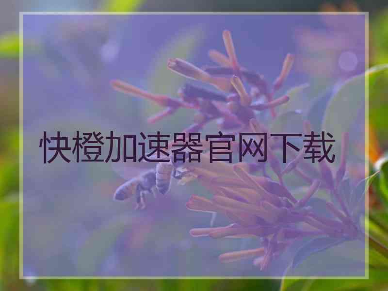 快橙加速器官网下载