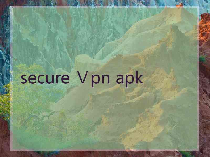 secure Ⅴpn apk