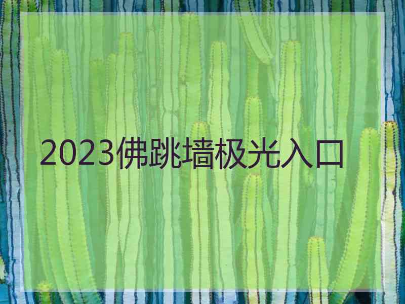 2023佛跳墙极光入口