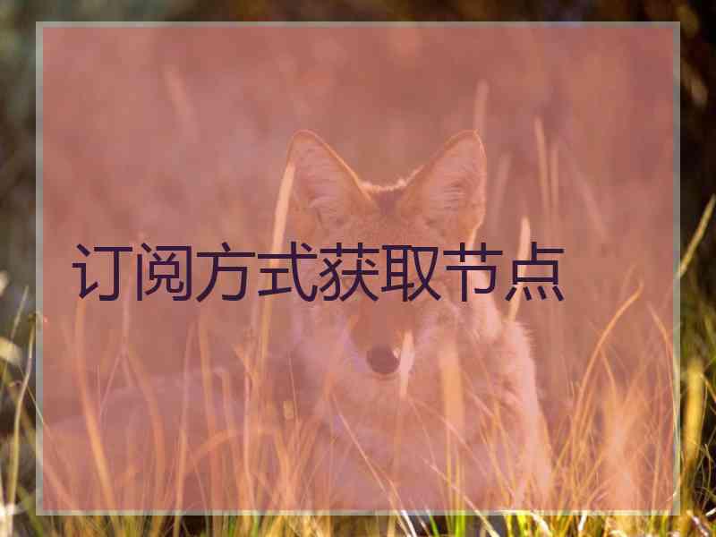 订阅方式获取节点