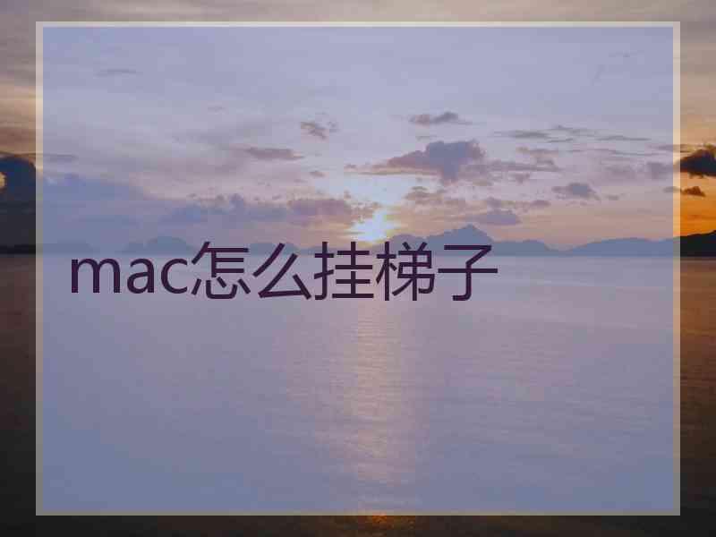 mac怎么挂梯子