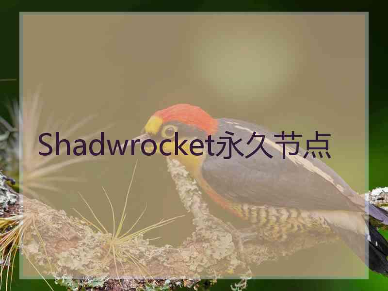 Shadwrocket永久节点