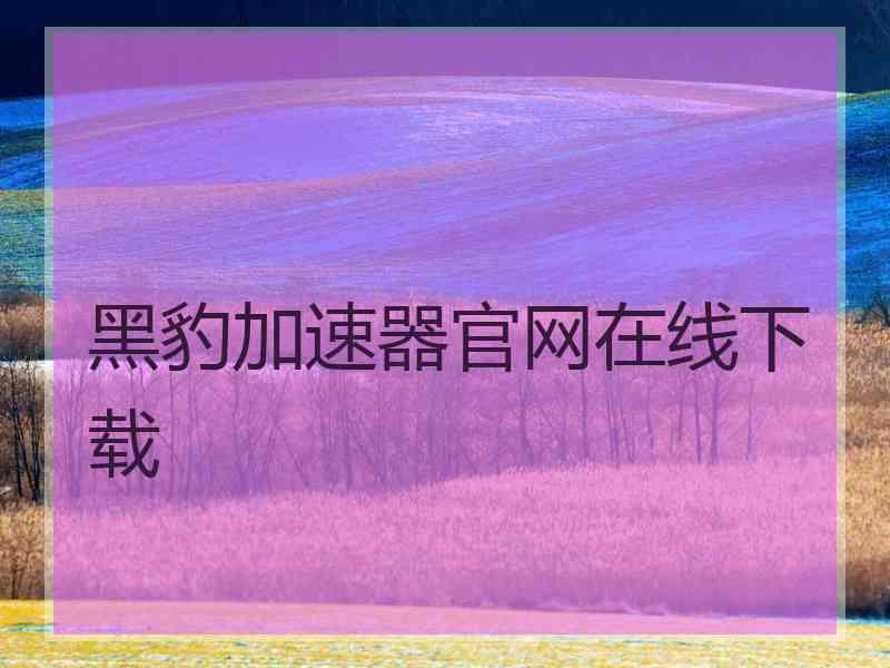 黑豹加速器官网在线下载