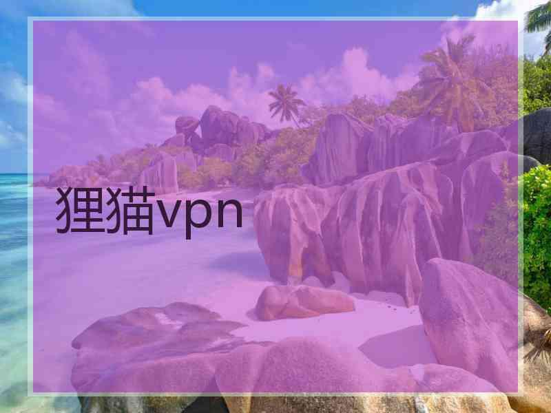 狸猫vpn