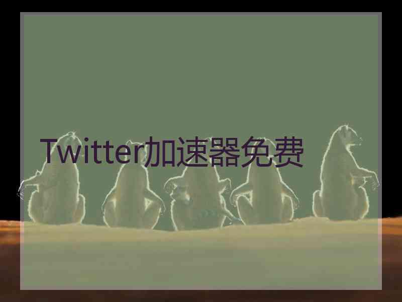 Twitter加速器免费