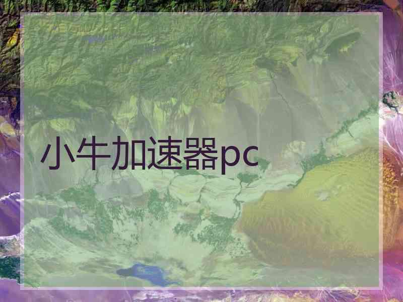 小牛加速器pc