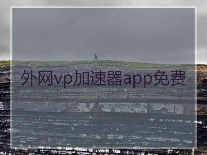 外网vp加速器app免费