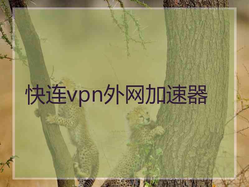 快连vpn外网加速器