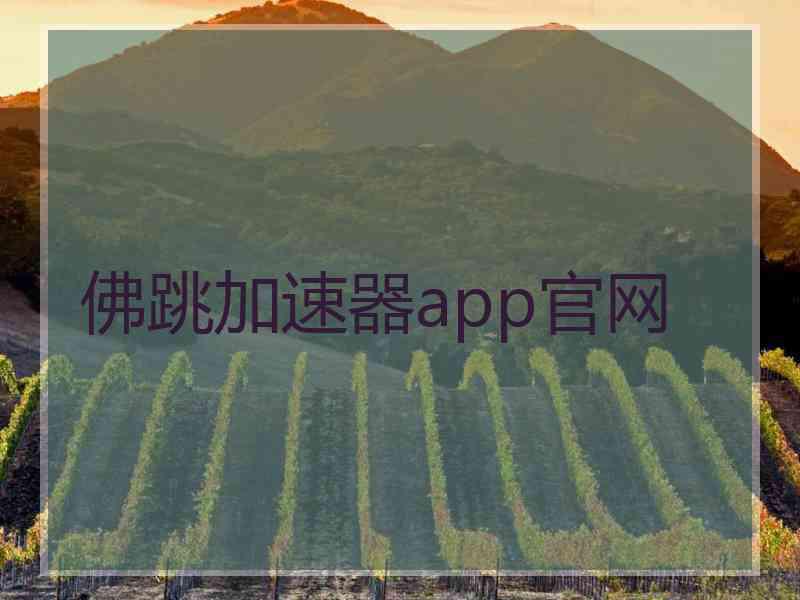 佛跳加速器app官网