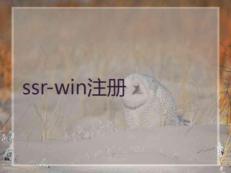 ssr-win注册