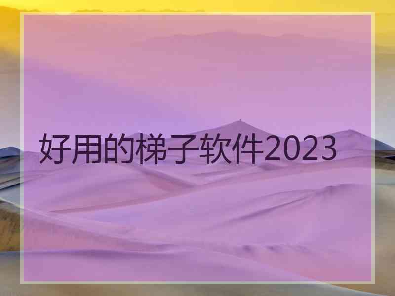 好用的梯子软件2023