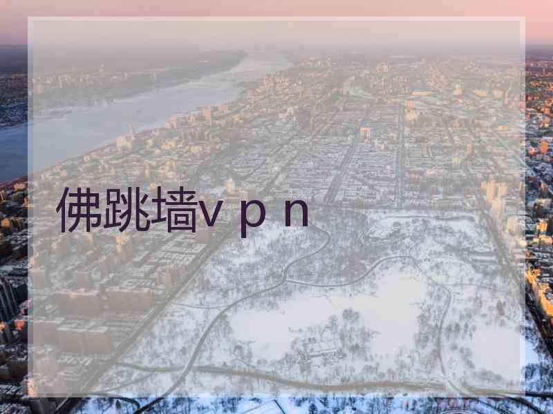 佛跳墙v p n