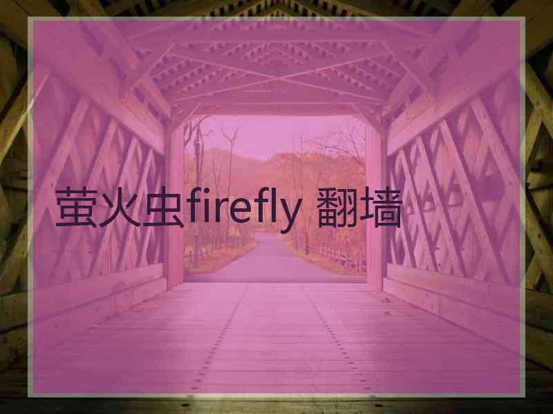 萤火虫firefly 翻墙