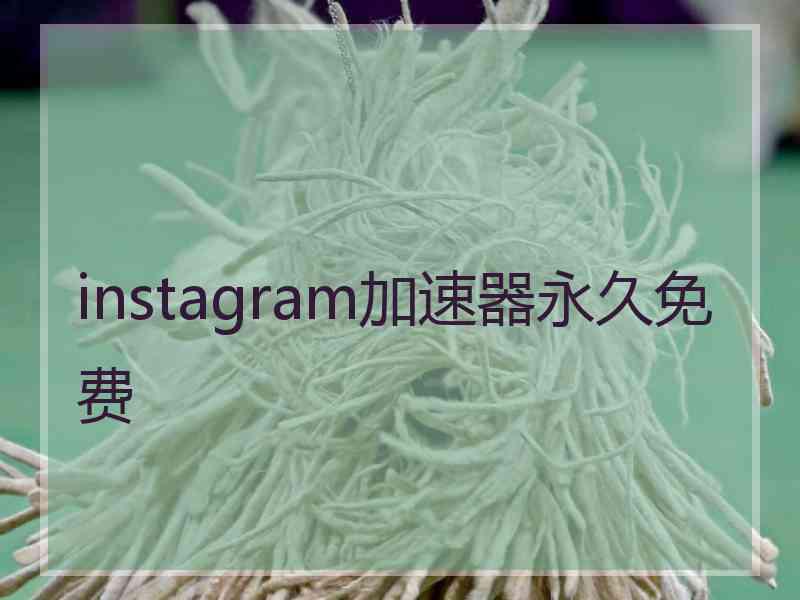 instagram加速器永久免费