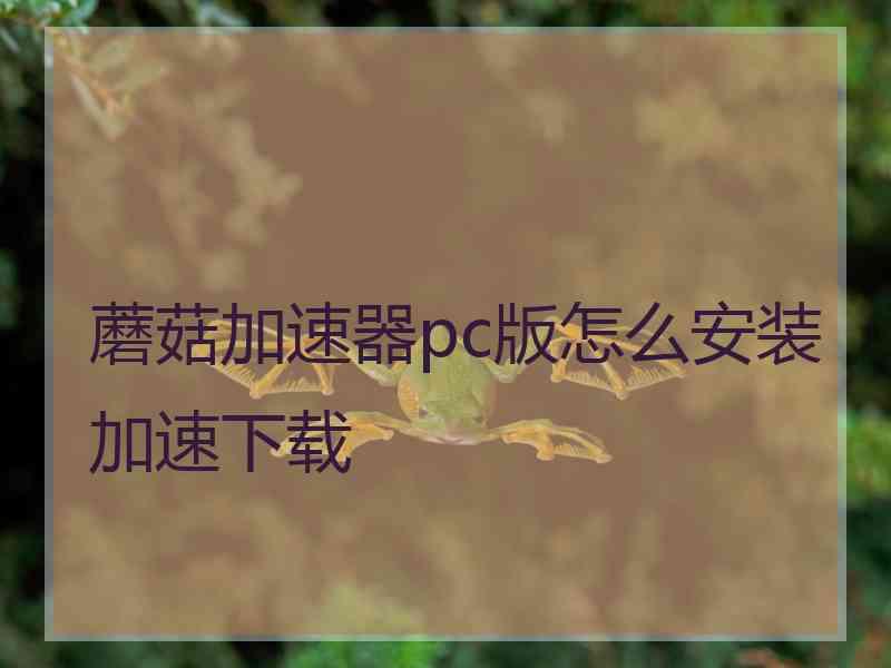 蘑菇加速器pc版怎么安装加速下载