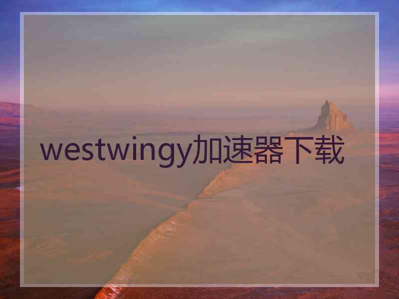 westwingy加速器下载