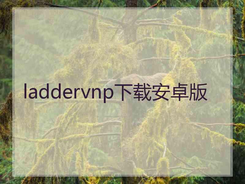 laddervnp下载安卓版