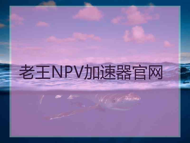 老王NPV加速器官网