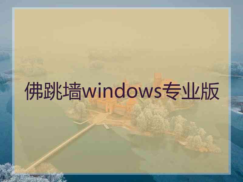 佛跳墙windows专业版