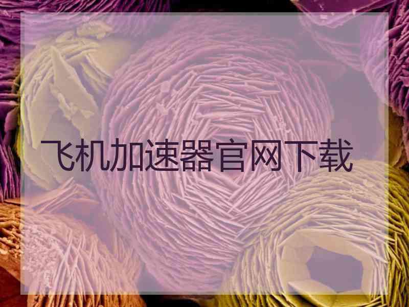 飞机加速器官网下载