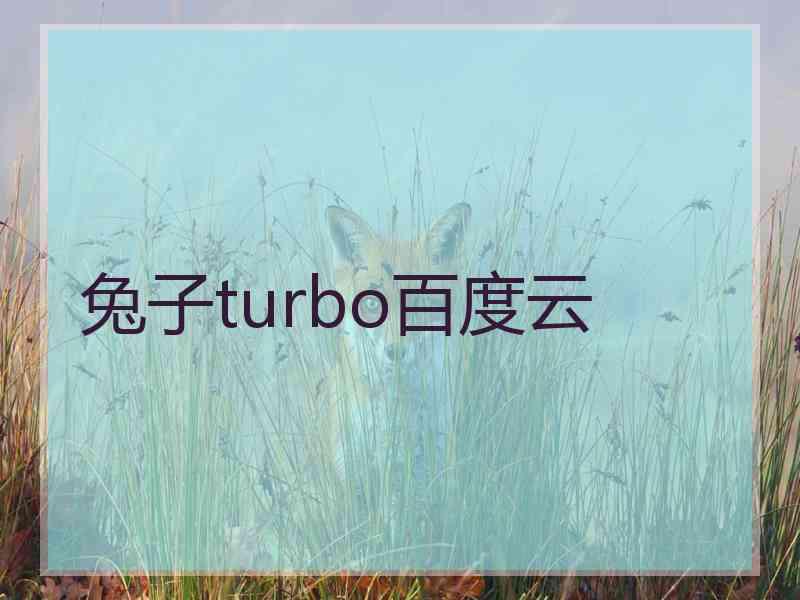 兔子turbo百度云