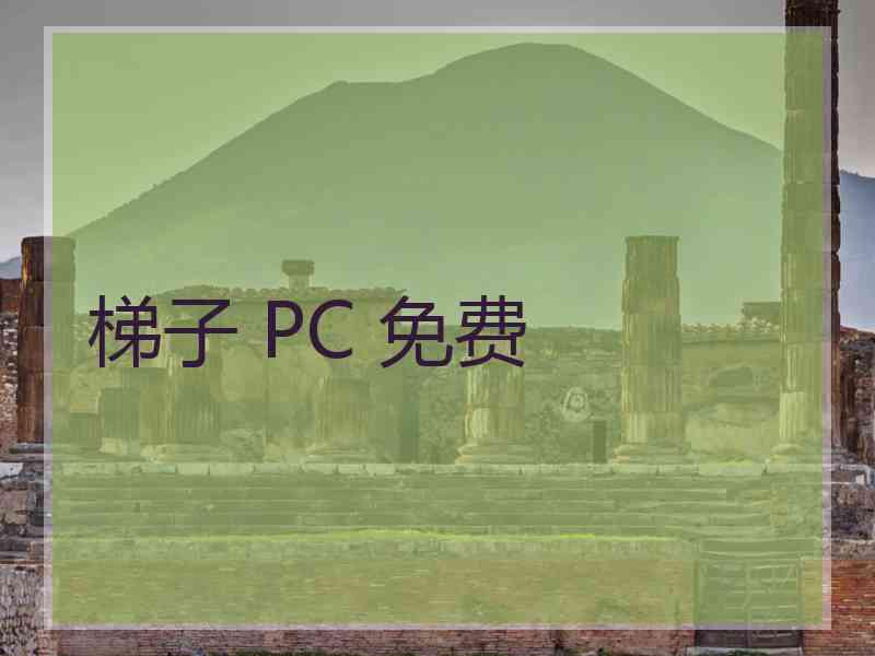 梯子 PC 免费