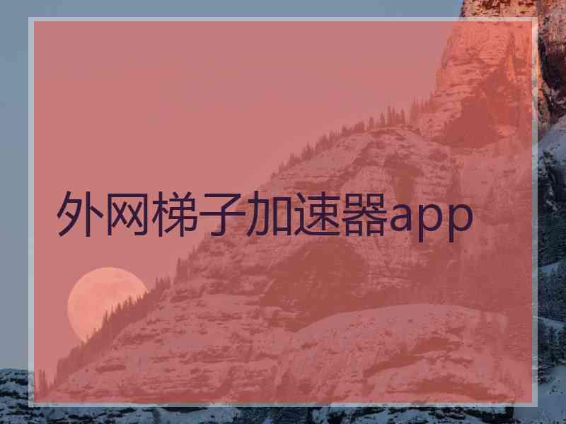 外网梯子加速器app