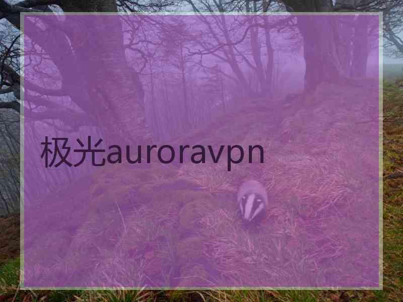 极光auroravpn