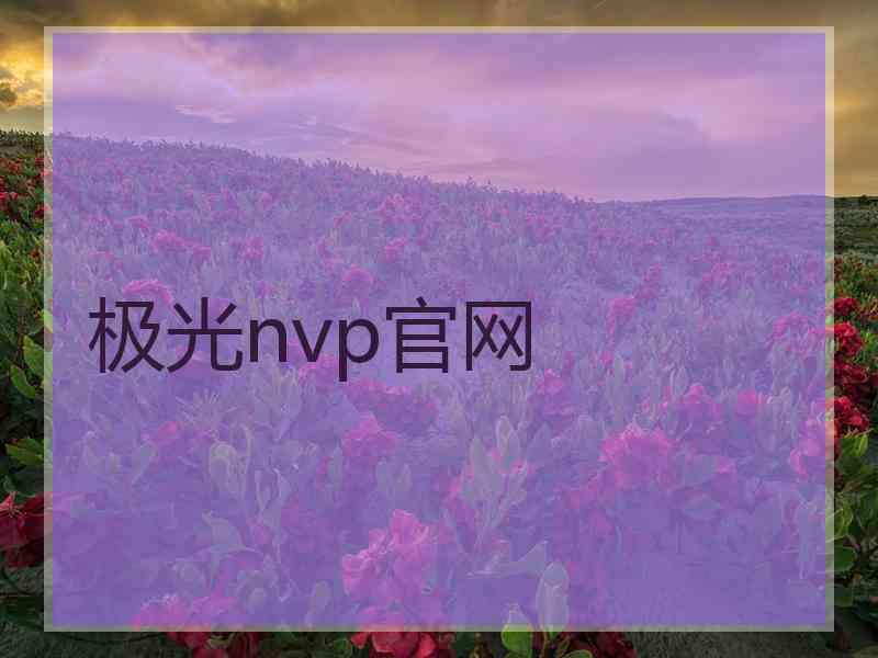 极光nvp官网